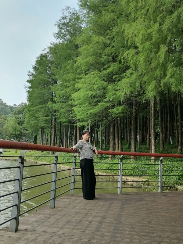 遗失的记忆的第二张照片--深圳红颜知己交友网